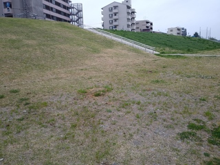 IMG01191.jpg
