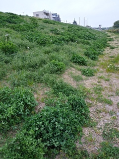 IMG01195_HDR.jpg