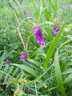 IMG01197.jpg