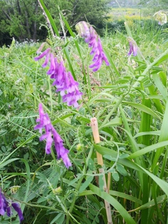 IMG01198.jpg