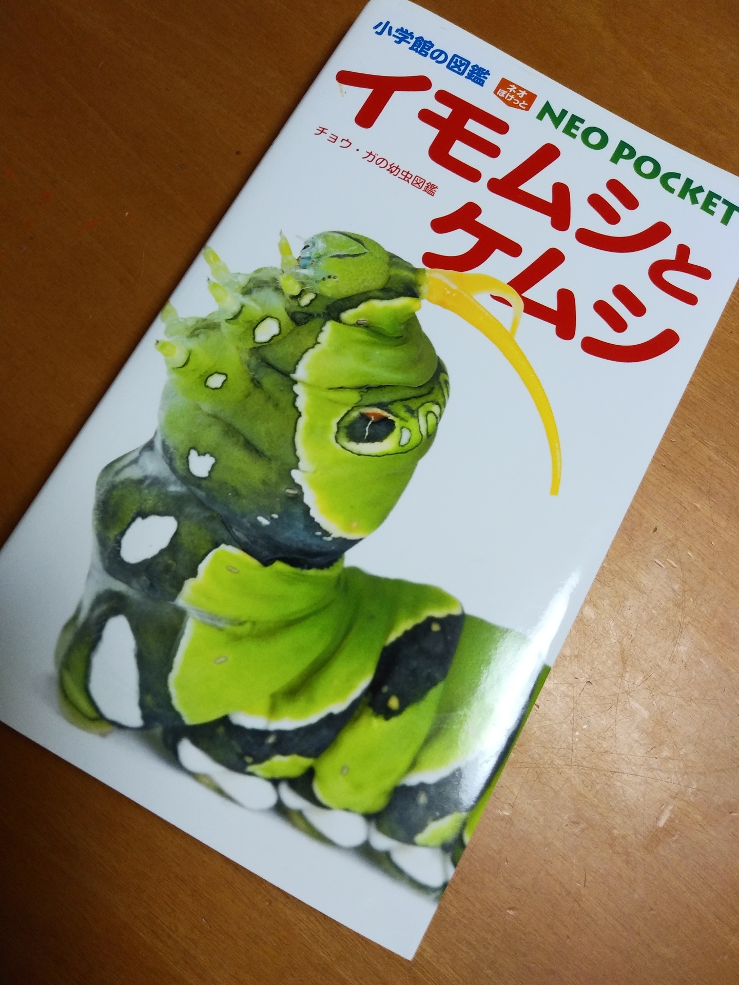 小学館の図鑑ネオぽけっと イモムシとケムシ 手作り Toy Box