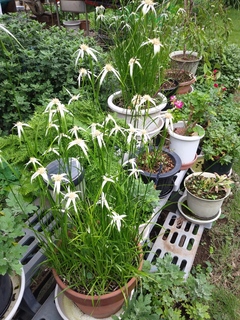 IMG02358.jpg