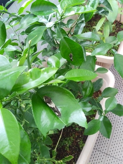 IMG02453.jpg