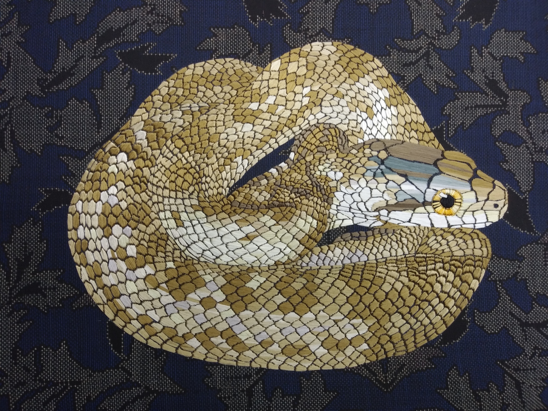 黄頷蛇