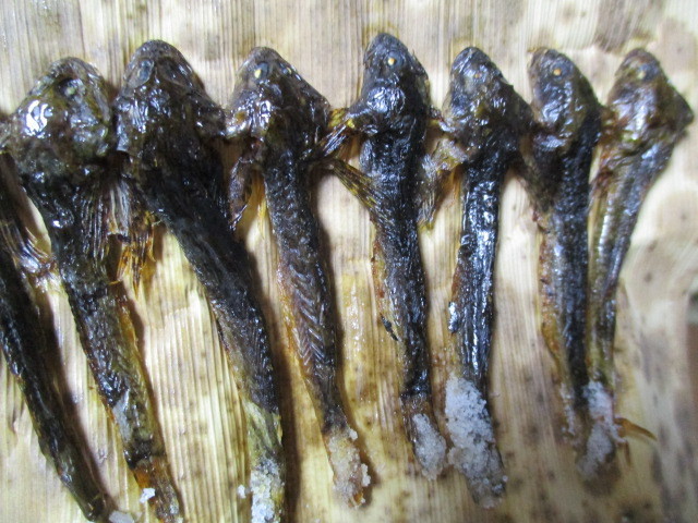 カジカと目が合う 手作り Toy Box